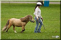 4H-1st-Show-11_0868.jpg
