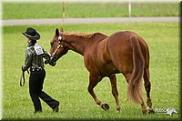4H-1st-Show-11_0870.jpg