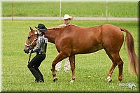 4H-1st-Show-11_0872.jpg
