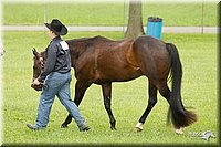 4H-1st-Show-11_0875.jpg