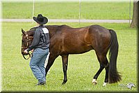 4H-1st-Show-11_0876.jpg
