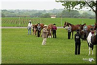 4H-1st-Show-11_0881.jpg