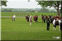 4H-1st-Show-11_0882.jpg