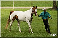 4H-1st-Show-11_0889.jpg