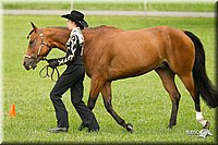 4H-1st-Show-11_0913.jpg