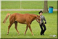 4H-1st-Show-11_0916.jpg