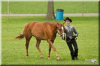 4H-1st-Show-11_0917.jpg