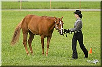 4H-1st-Show-11_0921.jpg