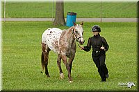 4H-1st-Show-11_0923.jpg
