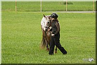 4H-1st-Show-11_0925.jpg