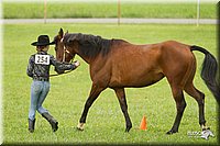 4H-1st-Show-11_0928.jpg