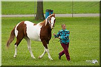 4H-1st-Show-11_0935.jpg