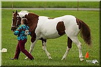 4H-1st-Show-11_0938.jpg