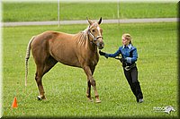 4H-1st-Show-11_0940.jpg