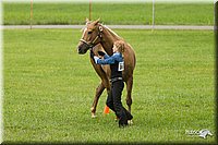 4H-1st-Show-11_0942.jpg