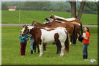 4H-1st-Show-11_0944.jpg