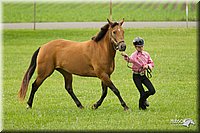 4H-1st-Show-11_0946.jpg