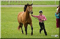 4H-1st-Show-11_0947.jpg