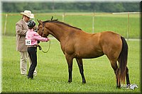 4H-1st-Show-11_0950.jpg
