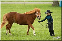 4H-1st-Show-11_0952.jpg