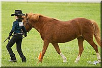 4H-1st-Show-11_0954.jpg