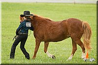 4H-1st-Show-11_0955.jpg