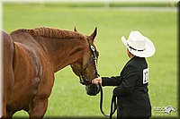 4H-1st-Show-11_0958.jpg