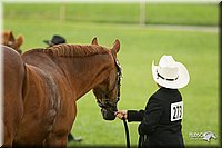 4H-1st-Show-11_0959.jpg