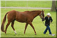 4H-1st-Show-11_0960.jpg