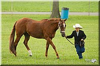 4H-1st-Show-11_0961.jpg