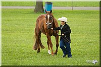 4H-1st-Show-11_0962.jpg