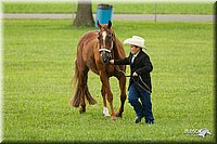 4H-1st-Show-11_0962.jpg