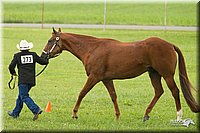 4H-1st-Show-11_0963.jpg