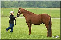 4H-1st-Show-11_0965.jpg