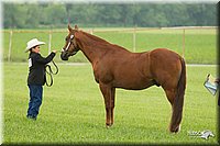 4H-1st-Show-11_0966.jpg