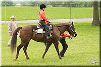 4H-1st-Show-11_1445.jpg