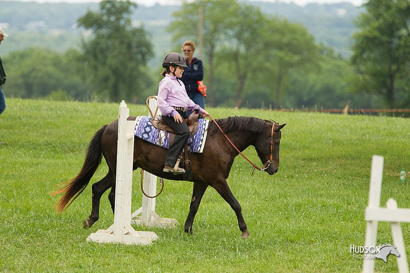 4H-1st-Show-11_1456.jpg