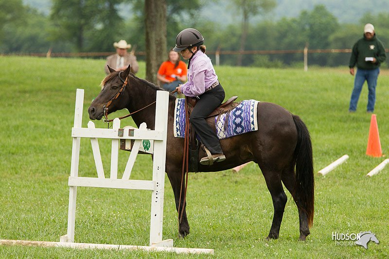 4H-1st-Show-11_1462.jpg