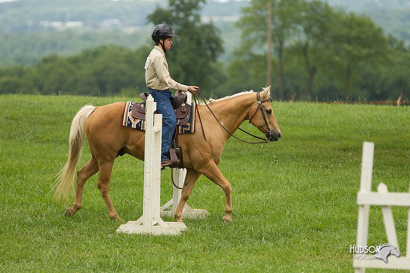 4H-1st-Show-11_1473.jpg