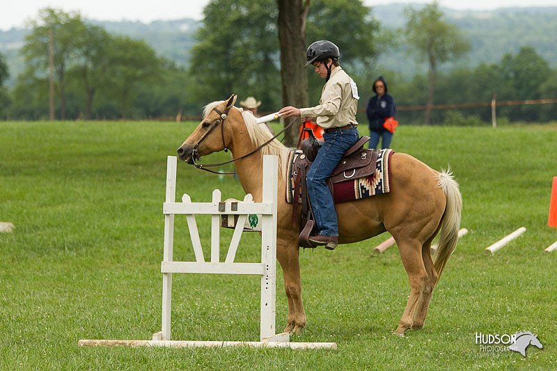 4H-1st-Show-11_1481.jpg