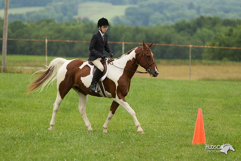 4H-1st-Show-11_1485.jpg