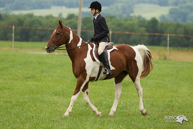 4H-1st-Show-11_1490.jpg