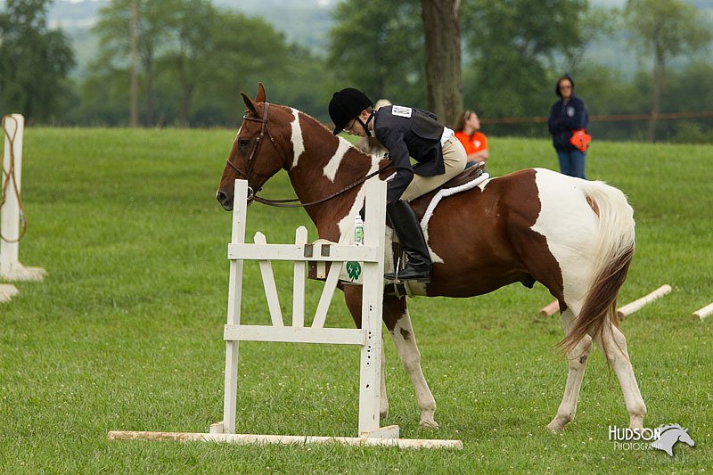 4H-1st-Show-11_1492.jpg