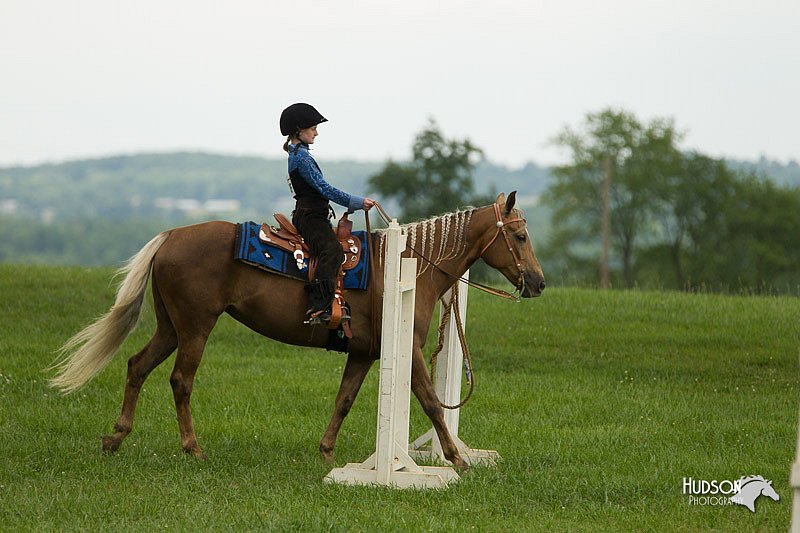 4H-1st-Show-11_1494.jpg