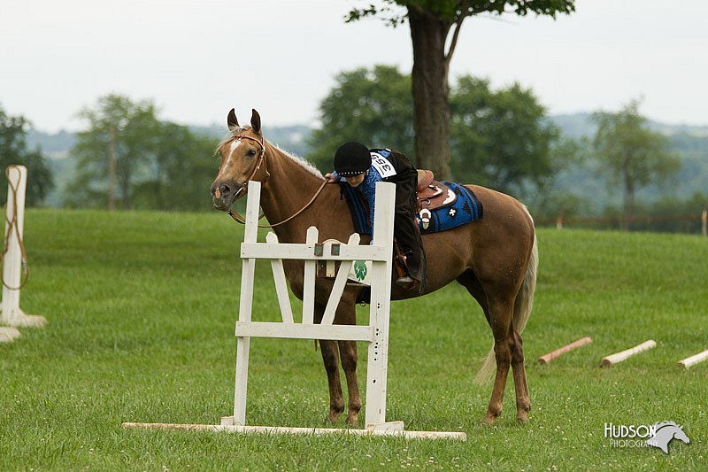 4H-1st-Show-11_1502.jpg
