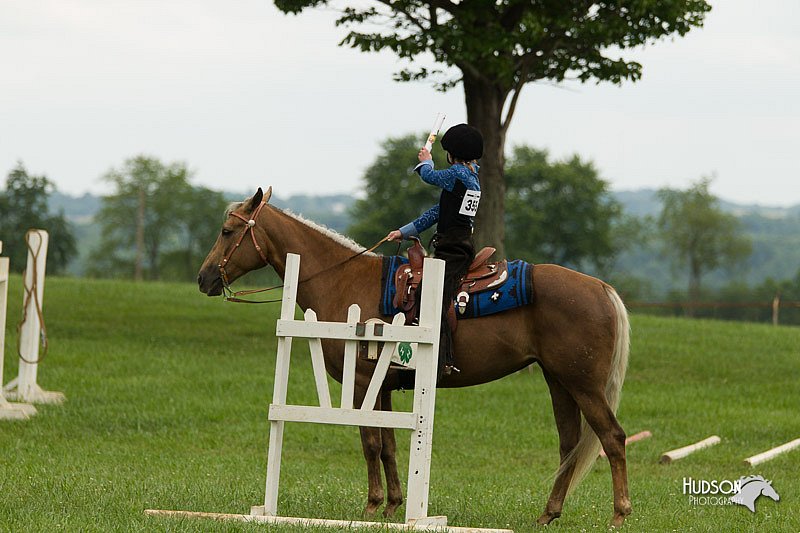 4H-1st-Show-11_1503.jpg