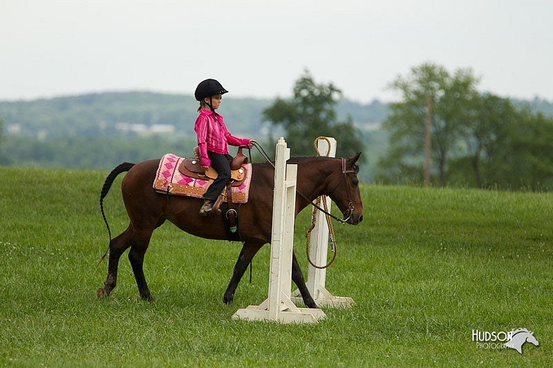 4H-1st-Show-11_1504.jpg