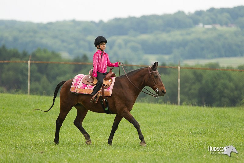 4H-1st-Show-11_1507.jpg