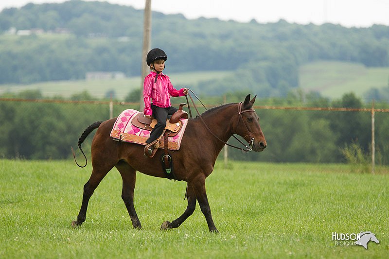 4H-1st-Show-11_1508.jpg