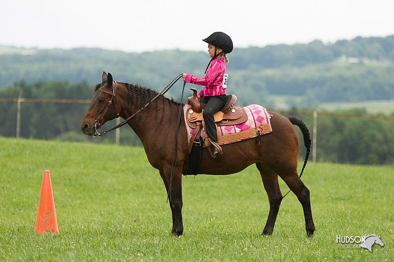4H-1st-Show-11_1511.jpg